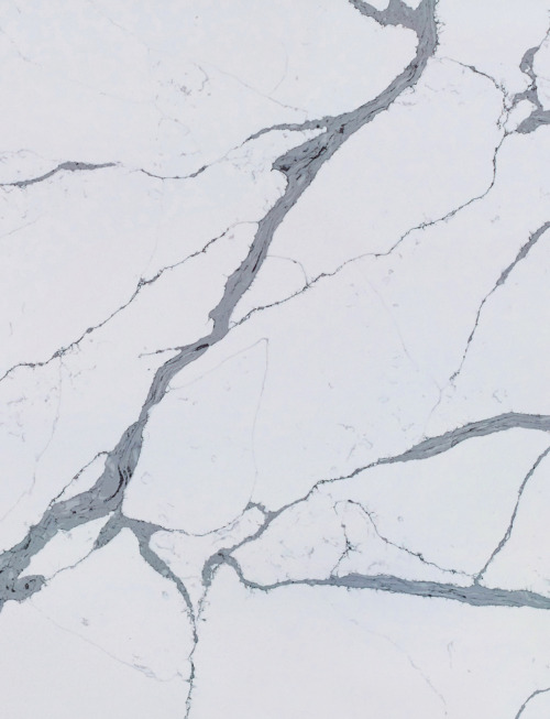 21-AC555-Classic-Calacatta-500x653